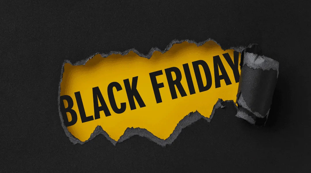 Black Friday Sale